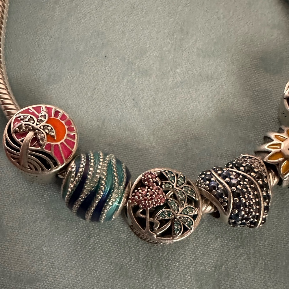 Pandora Charm Bracelet